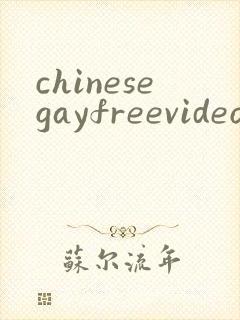 chinesegayfreevideoporn