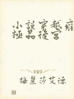 小说穿越雍正之极品后宫