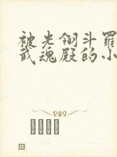 被光翎斗罗捡回武魂殿的小说