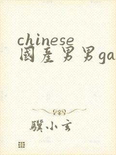 chinese国产男男gaygay网站
