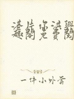 港片你洪兴仔笔趣阁免费阅读全文