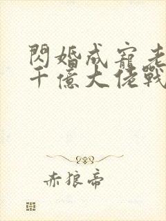 闪婚成宠老公是千亿大佬战胤海