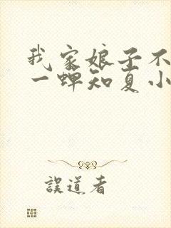 我家娘子不对劲一蝉知夏小说无弹窗