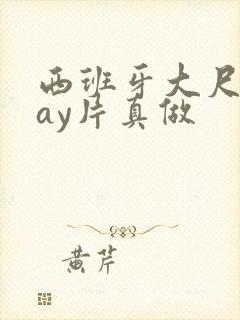 西班牙大尺度gay片真做