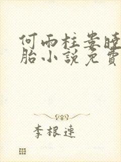 何雨柱娄晓娥双胎小说免费阅读