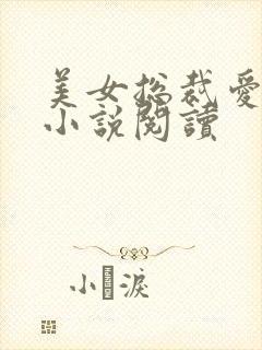 美女总裁爱上我小说阅读封面