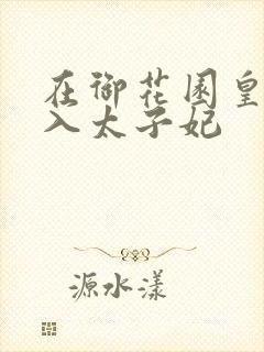 在御花园皇上进入太子妃封面