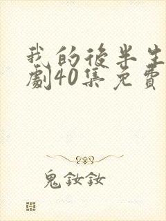 我的后半生电视剧40集免费封面