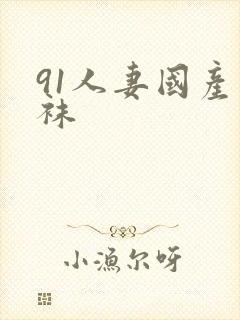 91人妻国产丝袜