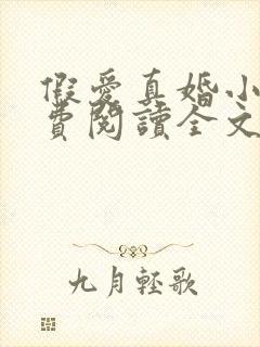 假爱真婚小说免费阅读全文