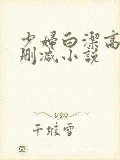 少妇白洁高义无删减小说