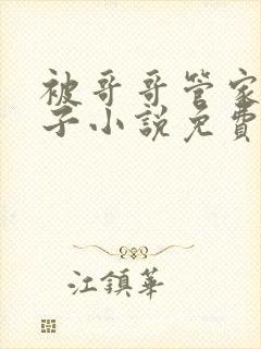 被哥哥管家的日子小说免费阅读全文封面