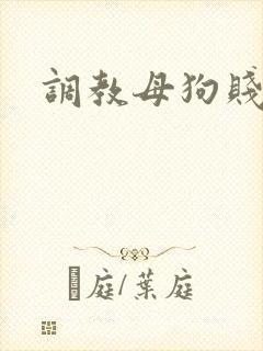 调教母狗贱逼
