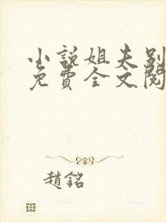 小说姐夫别过来免费全文阅读