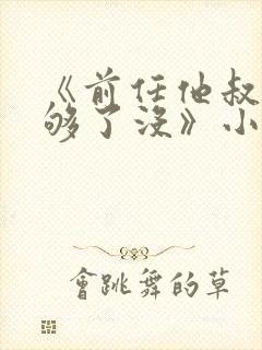 《前任他叔,宠够了没》小说