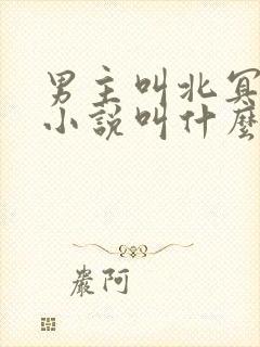 男主叫北冥夜的小说叫什么名字