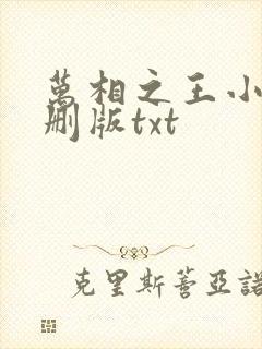 万相之王小说未删版txt