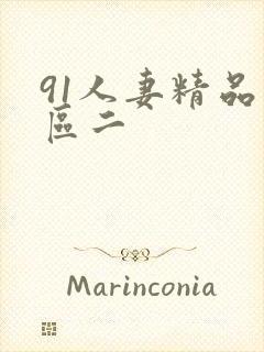 91人妻精品一区二