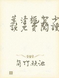 叶清栀贺少衍小说免费阅读最新章节