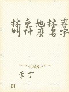 林东旭林霁小说叫什么名字