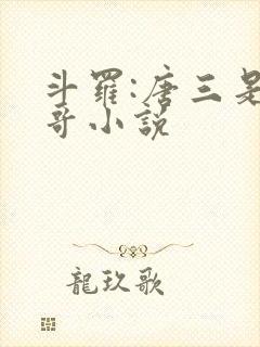 斗罗:唐三是我哥小说