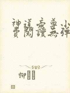 神道帝尊小说免费阅读无弹窗