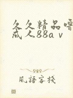 久久精品噜噜噜成人88aⅴ
