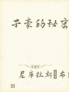 子豪的秘密教学封面