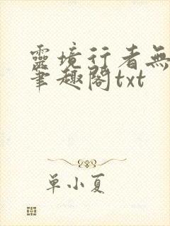 灵境行者无错版笔趣阁txt