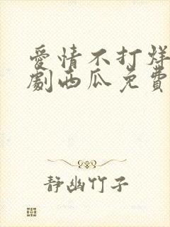 爱情不打烊电视剧西瓜免费观看封面