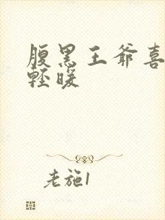 腹黑王爷喜当爹轻暖