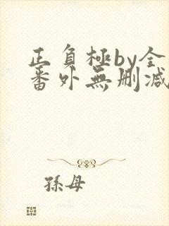 正负极by全文番外无删减