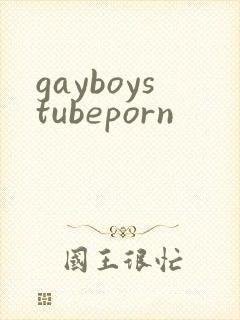 gayboystubeporn