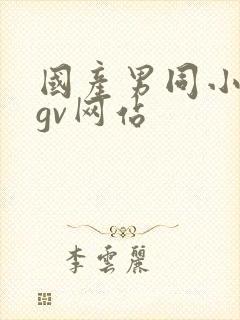 国产男同小鲜肉gv网站