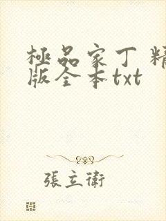 极品家丁 精校版全本txt
