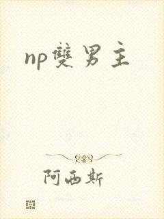 np双男主