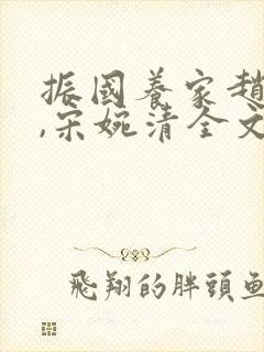 振国养家赵振国,宋婉清全文阅读