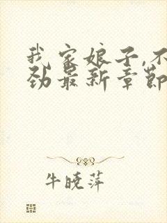 我家娘子,不对劲最新章节