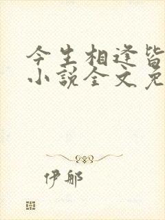 今生相逢皆是错小说全文免费阅读