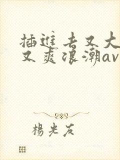 插进去又大又硬又爽浪潮av网站