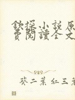 钦探小说原著免费阅读全文