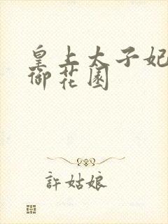 皇上太子妃宁初御花园