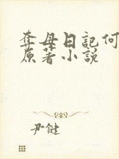 夺母日记何美琳原著小说