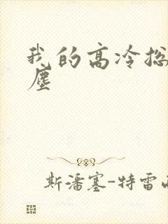 我的高冷总裁陆尘