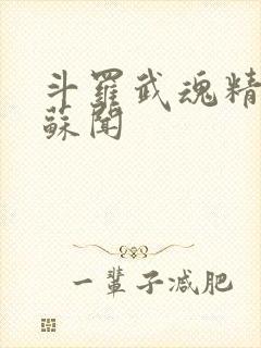 斗罗武魂精灵球苏闻封面