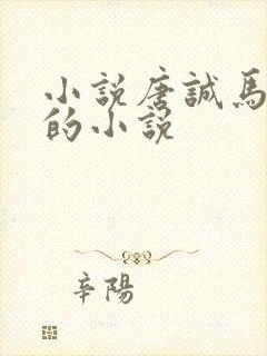 小说唐诚马玉婷的小说