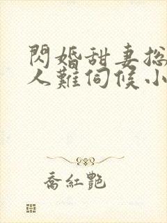 闪婚甜妻总裁大人难伺候小说封面