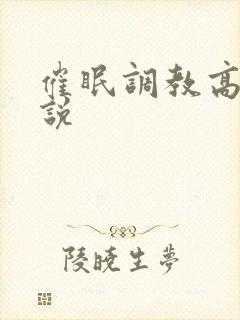 催眠调教高辣小说