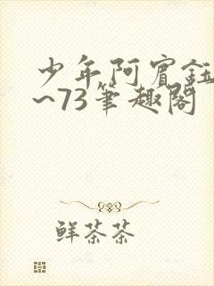 少年阿宾钰慧1~73笔趣阁