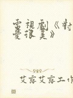 电视剧《对你的爱很美》